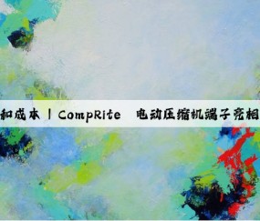 完美真人：兼顾性能和成本 | CompRite®电动压缩机端子亮相2023上海车用空调展